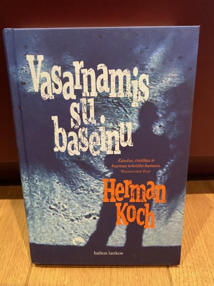 Vasarnamis su baseinu