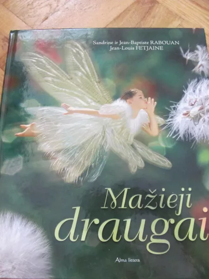 Mažieji draugai - Sandrine Rabouan, Jean-Baptiste  Rabouan, Jean-Louis  Fetjaine, knyga