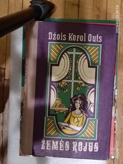 Žemės rojus - Autorių Kolektyvas, knyga