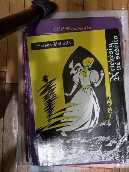 netekėsiu už šešėlio