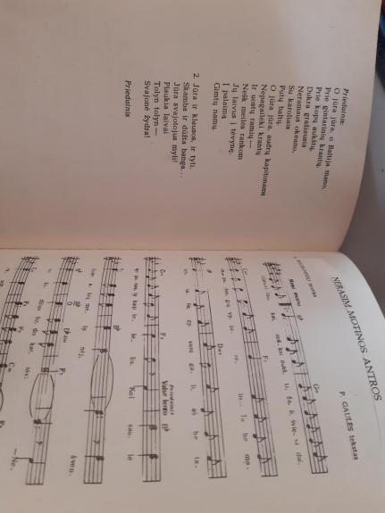 Estradinės dainos  4