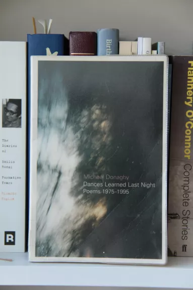 Dances Learned Last Night: Poems, 1975-1995 - Michael Donaghy, knyga