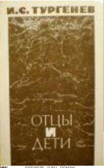 Отцы и дети - И. С. Тургенев, knyga