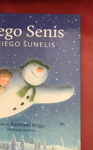 Sniego senis ir sniego šunelis - Hilary Audus, knyga 1
