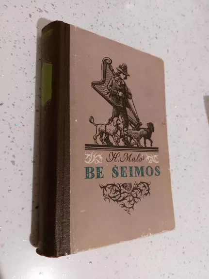 Be šeimos - Hektoras Malo, knyga