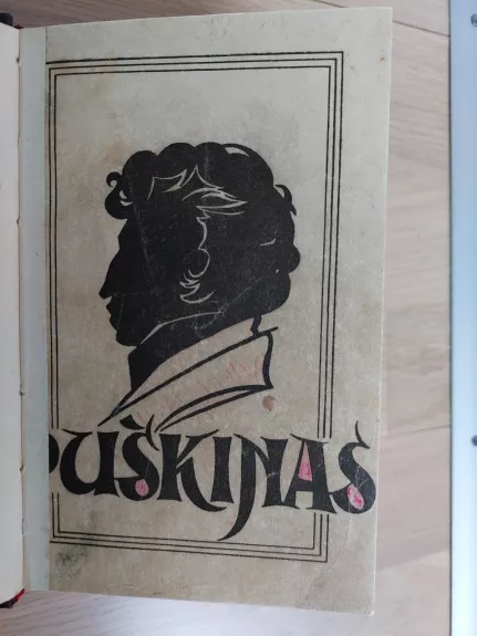 Puškinas - V. Kamenskij, knyga