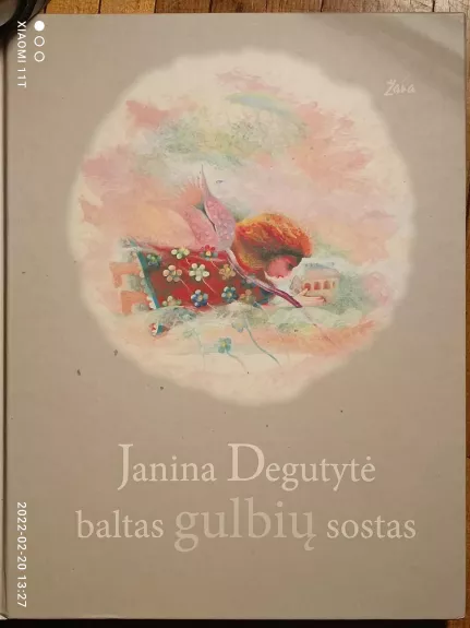 Baltas gulbių sostas - Janina Degutytė, knyga