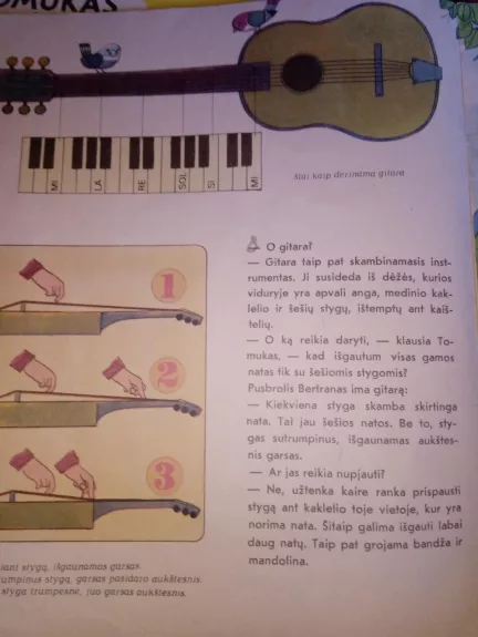 Tomukas ir muzikos instrumentai - Žeraras Gre, Alenas  Gre, knyga 1