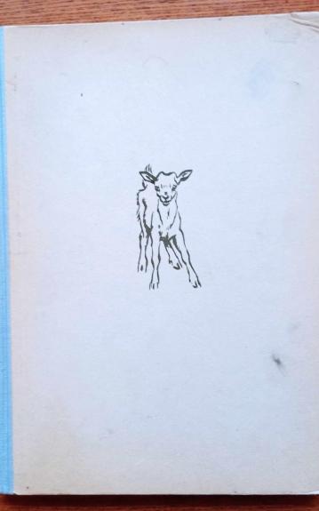 Aus der Kinderstube der Tiere