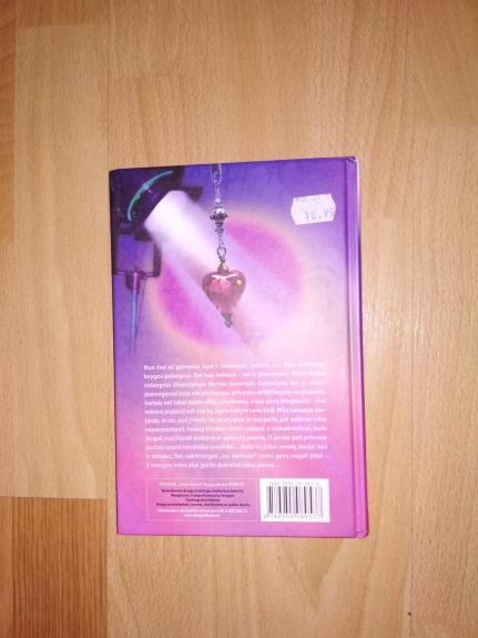 Princesė eina pareigas (Princesės dienoraštis 4)