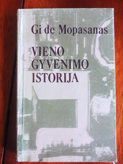 Vieno gyvenimo istorija