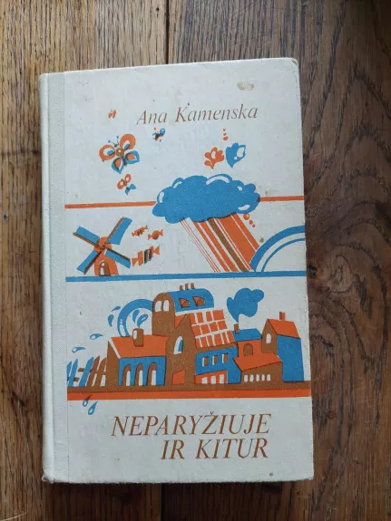 Neparyžiuje ir kitur - Ana Kamenska, knyga