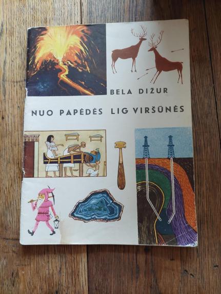 Nuo papėdės lig viršūnės