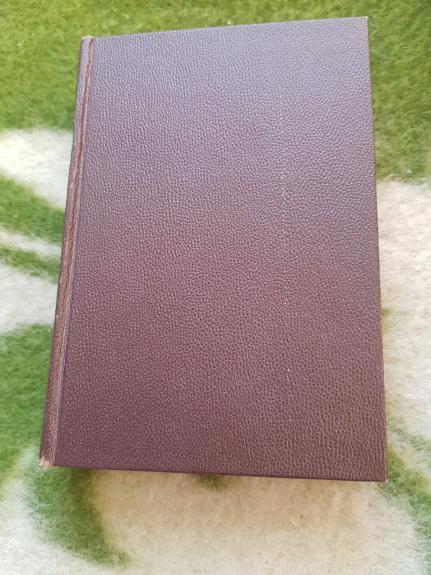 Anglų-lietuvių kalbū žodynas