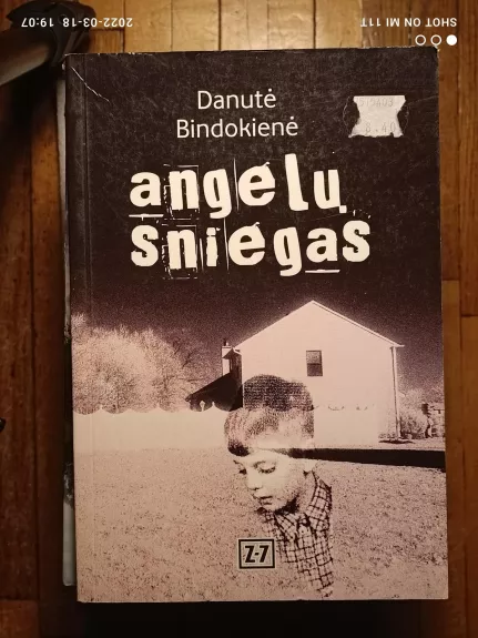 Angelų sniegas - Danutė Bindokienė, knyga