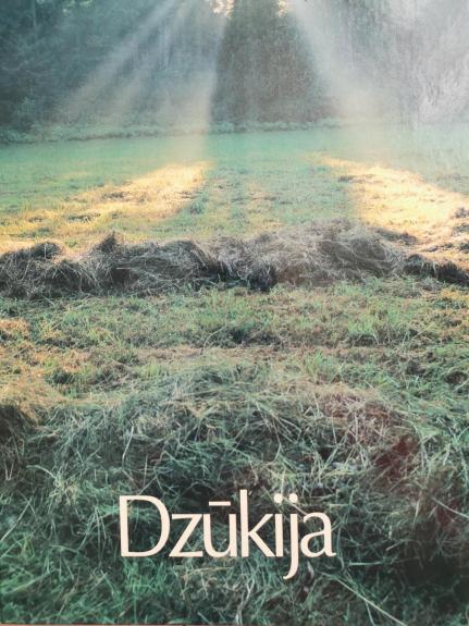 Dzūkija - Vytautas Stanionis, knyga