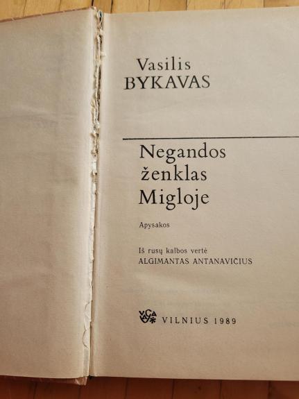 Negandos ženklas. Migloje