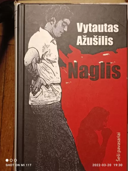 Naglis - Vytautas Ažušilis, knyga