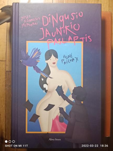 Dingusio jaunikio paslaptis. Zosės Ilganosės memuarai