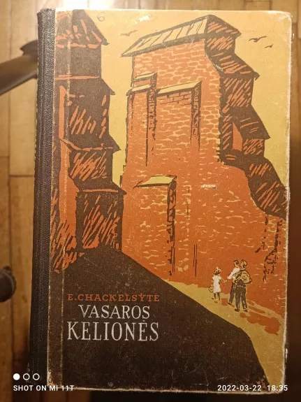 Vasaros kelionės - E. Chackelsytė, knyga