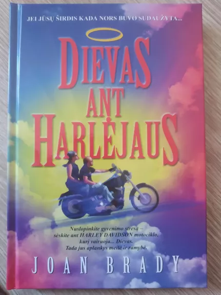 Dievas ant Harlėjaus - Joan Brady, knyga