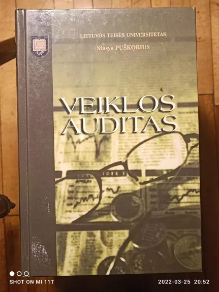 Veiklos auditas