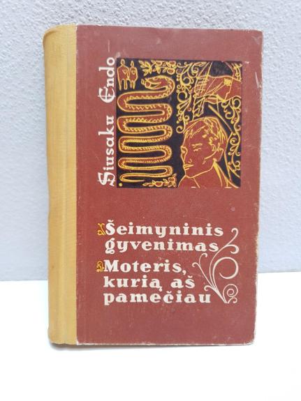 Šeimyninis gyvenimas. Moteris, kurią aš pamečiau