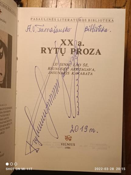 XX a. Rytų proza