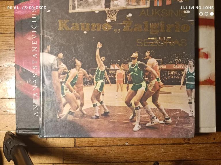 Auksinis Kauno "Žalgirio" sezonas