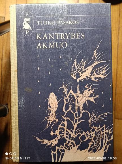 Turkų pasakos. Kantrybės akmuo