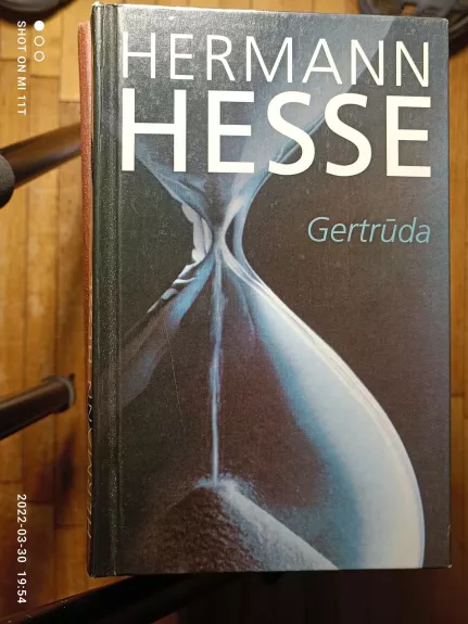 Gertrūda - Hermanas Hesė, knyga