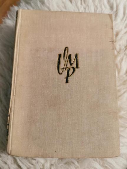 Raštai. (6 tomas) Sukilėliai - Vincas Mykolaitis-Putinas, knyga 1