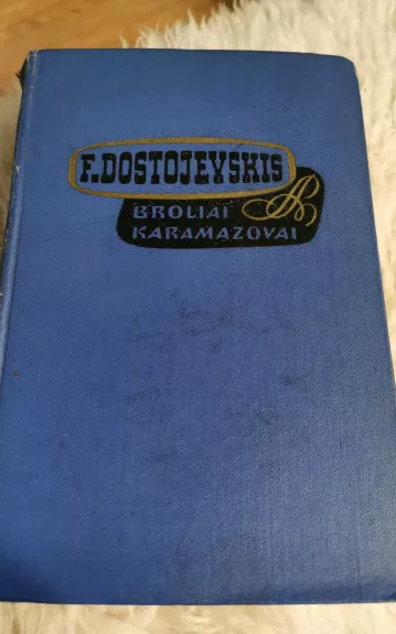 Broliai Karamazovai (I tomas) - Fiodoras Dostojevskis, knyga 1