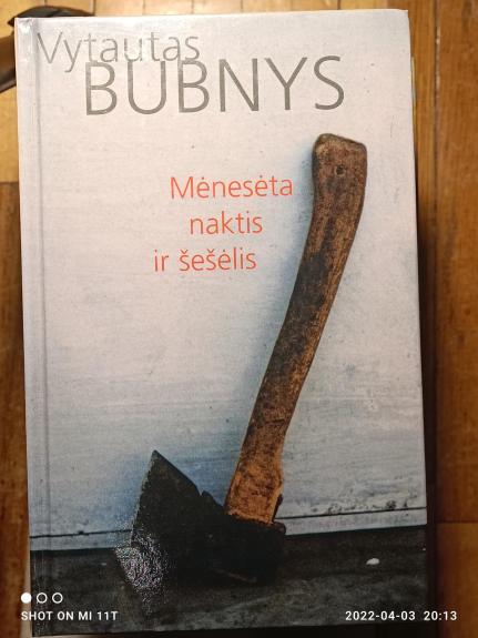 Mėnesėta naktis ir šešėlis