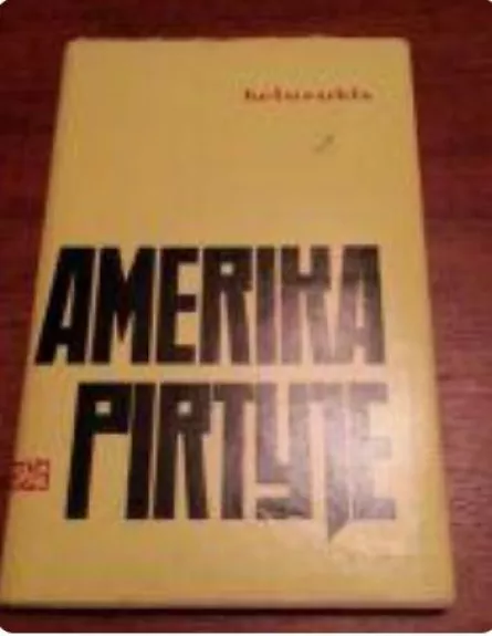 Amerika pirtyje - Autorių Kolektyvas, knyga