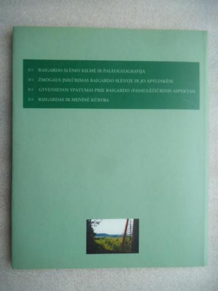 Ar tikrai Raigardas prasmego? - Autorių Kolektyvas, knyga 1