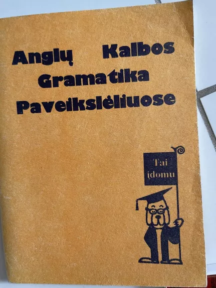 Anglų kalbos gramatika paveikslėliuose -   Arigapudis, knyga