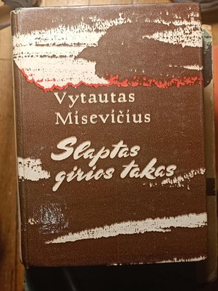 Slaptas girios takas