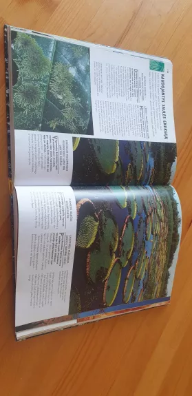 1000 gamtos stebuklų - Autorių Kolektyvas, knyga 1