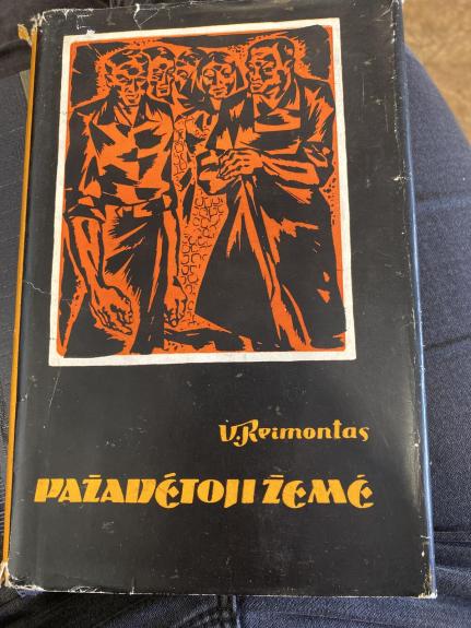 Pažadėtoji žemė. I tomas - V. Reimontas, knyga