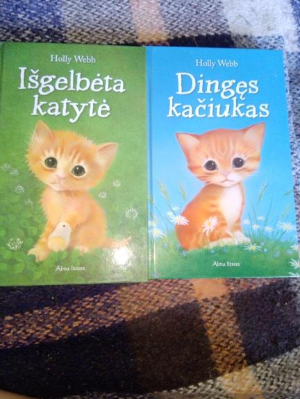 Dingęs kačiukas