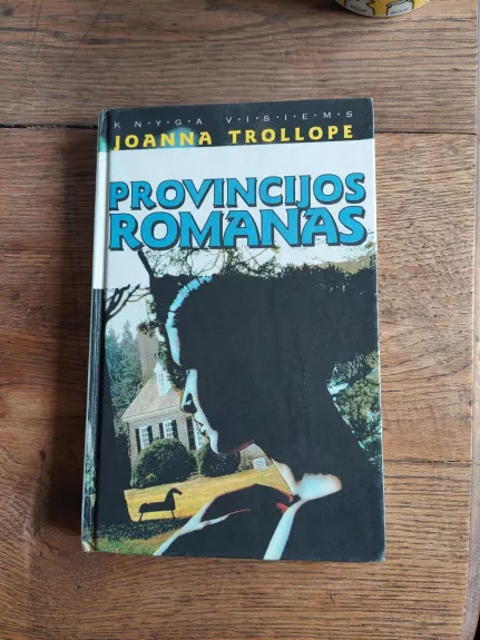 Provincijos romanas - Joanna Trollope, knyga