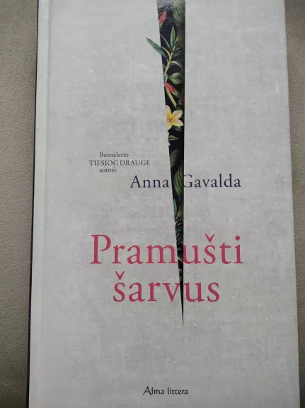 Pramušti šarvus