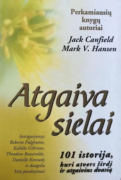 Atgaiva sielai. 101 istorija, kuri atvers širdį, atgaivins dvasią - Jack Canfield, Mark Viktor  Hansen, knyga