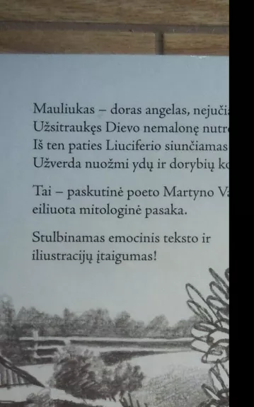 Mauliukas - Martynas Vainilaitis, knyga 1