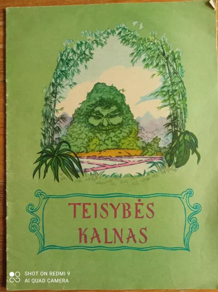 Teisybės kalnas - Autorių Kolektyvas, knyga