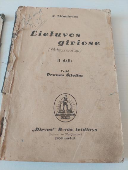 Lietuvos giriose