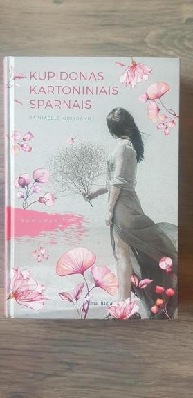 kupidonas kartoniniais sparnais - Raphaëlle Giordano, knyga