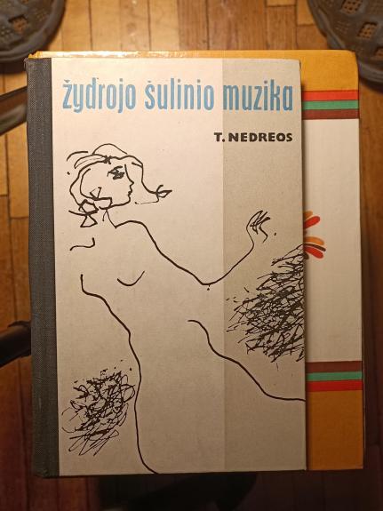Žydrojo šulinio muzika