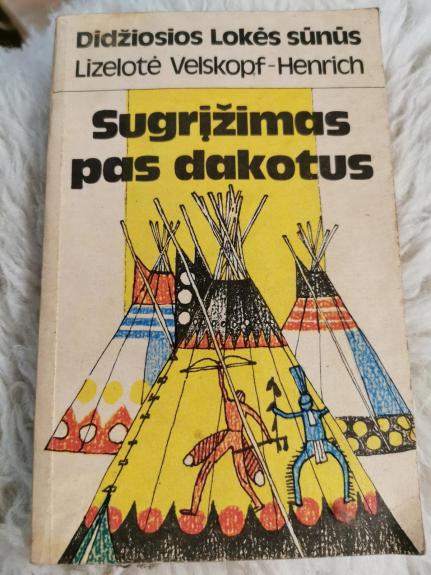 Didžiosios lokės sūnus - Lizelotė Velskopf-Henrich, knyga 1